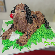 DJEČIJE ROĐENDANSKE TORTE