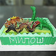 DJEČIJE ROĐENDANSKE TORTE