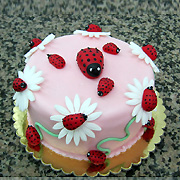 DJEČIJE ROĐENDANSKE TORTE