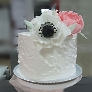 Torte za razne prilike
